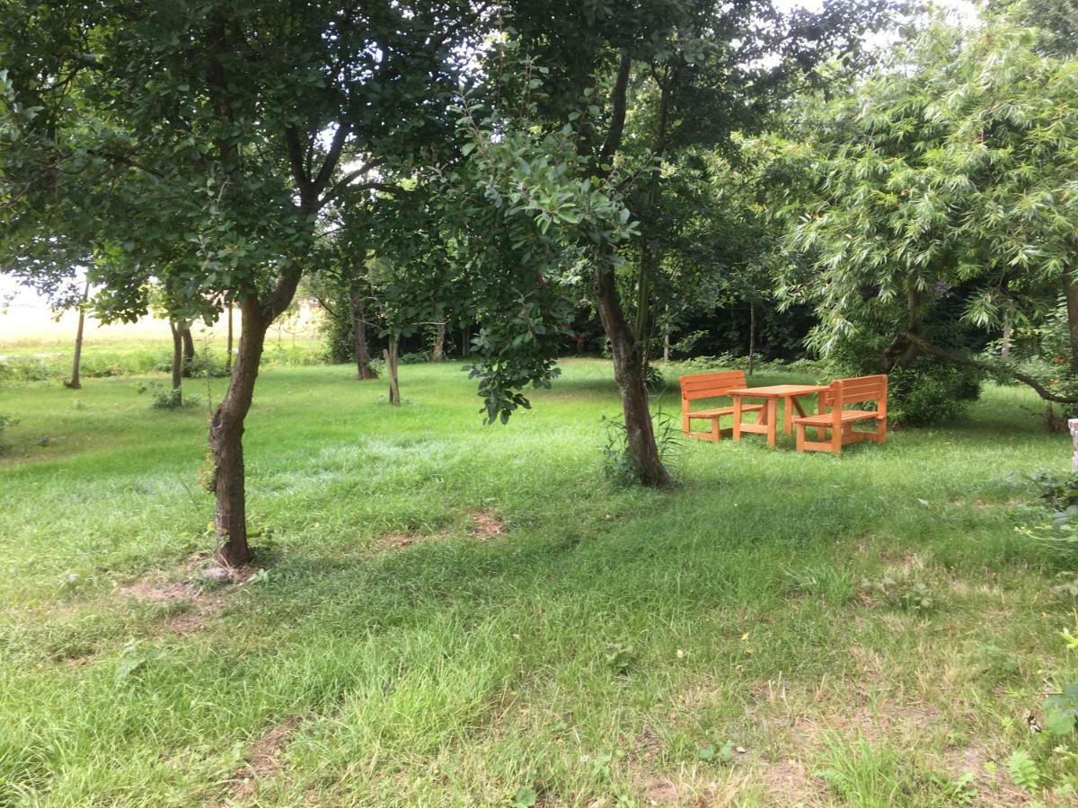 Marijanas Ferienhof 2, Urlaub Mit Viel Platz Zwischen Dornumersiel Und Bensersiel, Gehoert Zum Cafe Kunterbunt Holtgast エクステリア 写真